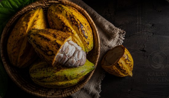 El verdadero sabor del cacao